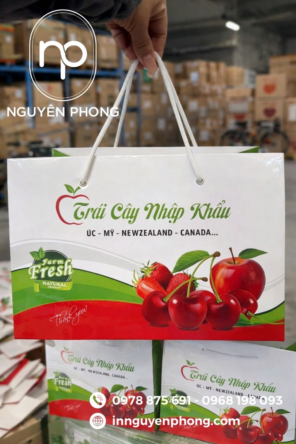 Mẫu túi giấy đựng trái cây bán sẵn in logo 